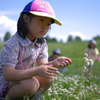 しろつめ草を集めて