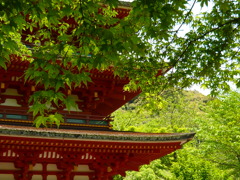 奈良　長谷寺