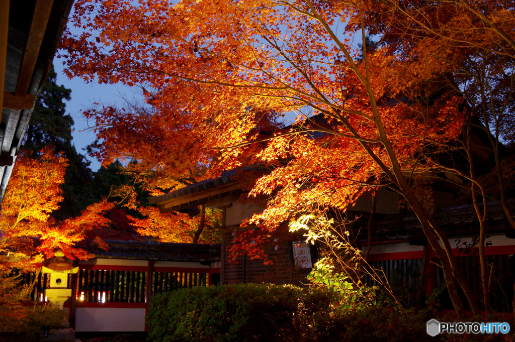鍬山神社03