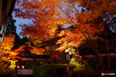 鍬山神社03