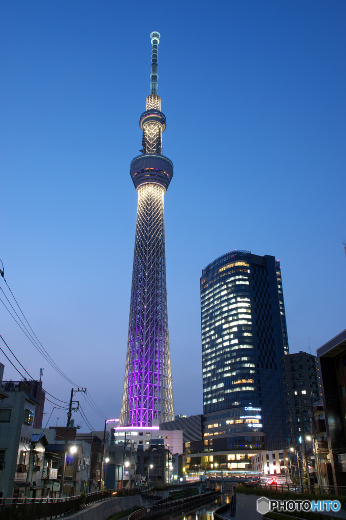 スカイツリー夕景