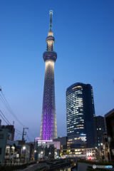 スカイツリー夕景