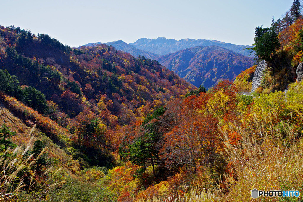 白山展望台付近から