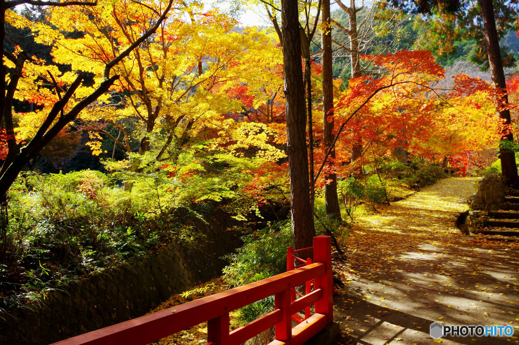 神蔵寺09