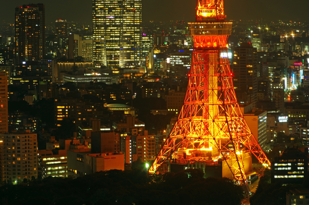 東京タワー夜景３