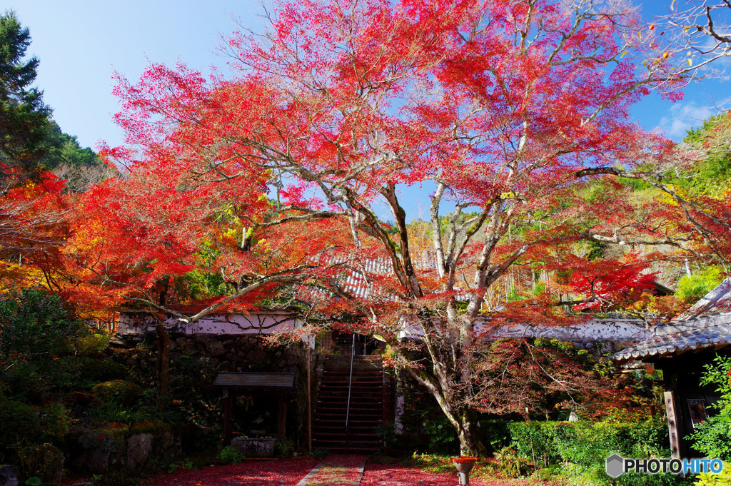 神蔵寺03