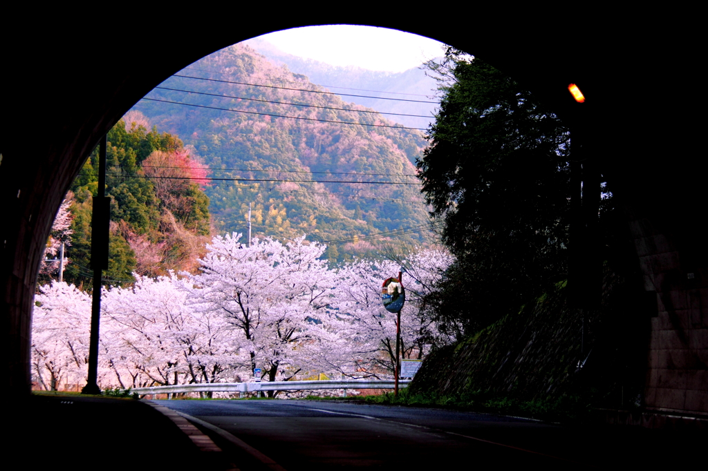 トンネルを抜けるとそこに