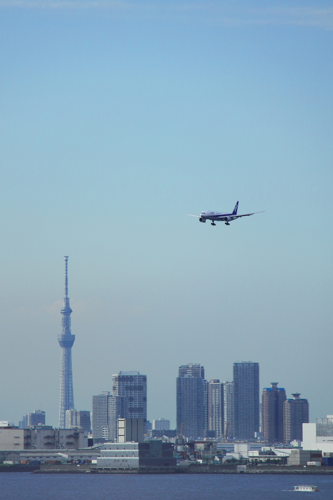 摩天楼の上空を