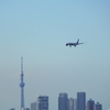 摩天楼の上空を