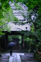 雨の中を進む