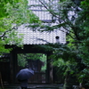 雨の中を進む