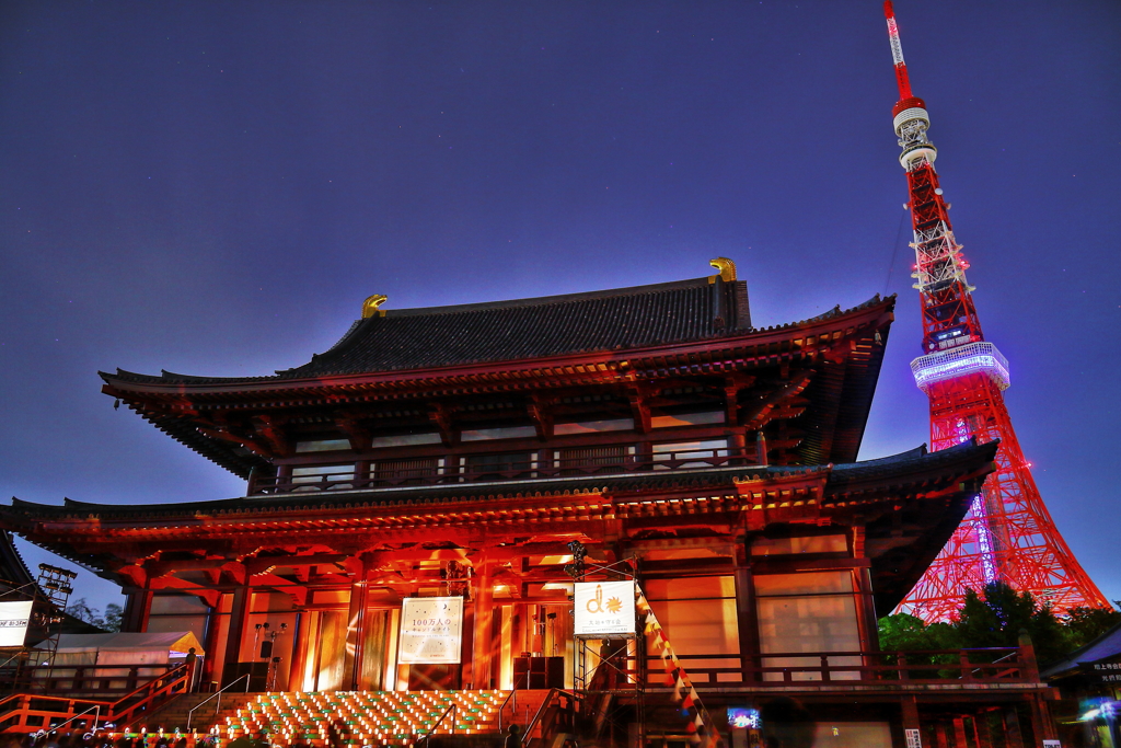 夜を彩るものたち