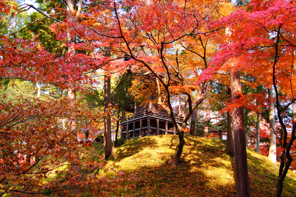 絶景の隠れ家