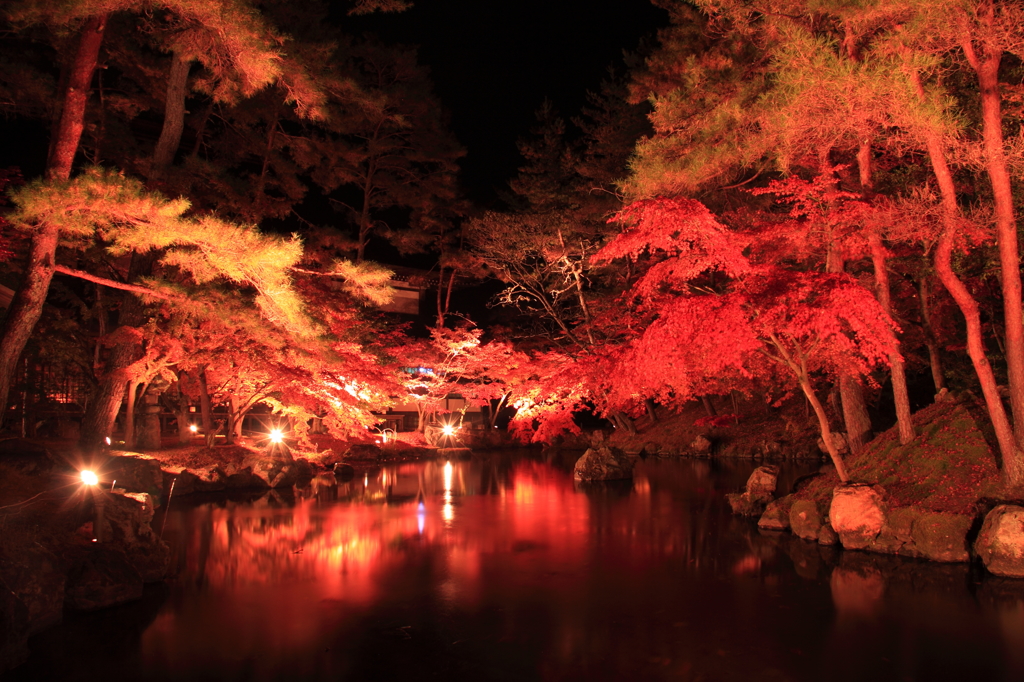 紅く染まる