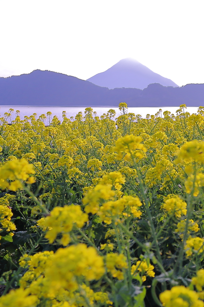 鹿児島の正月