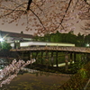 平川門と桜