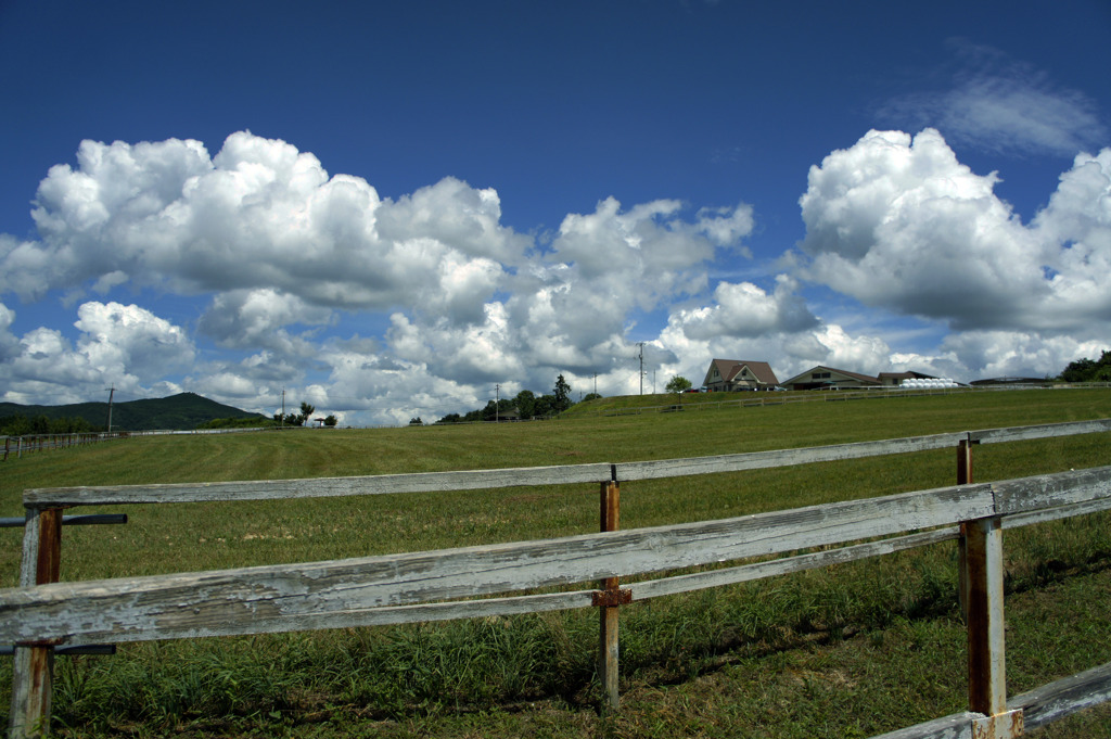 牧場と空