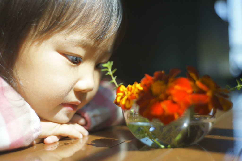 好きな花を見つめる