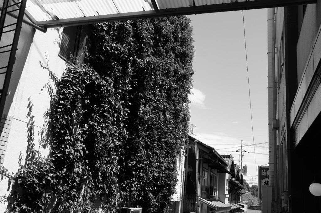 photo725033