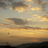 １１月２６日の朝