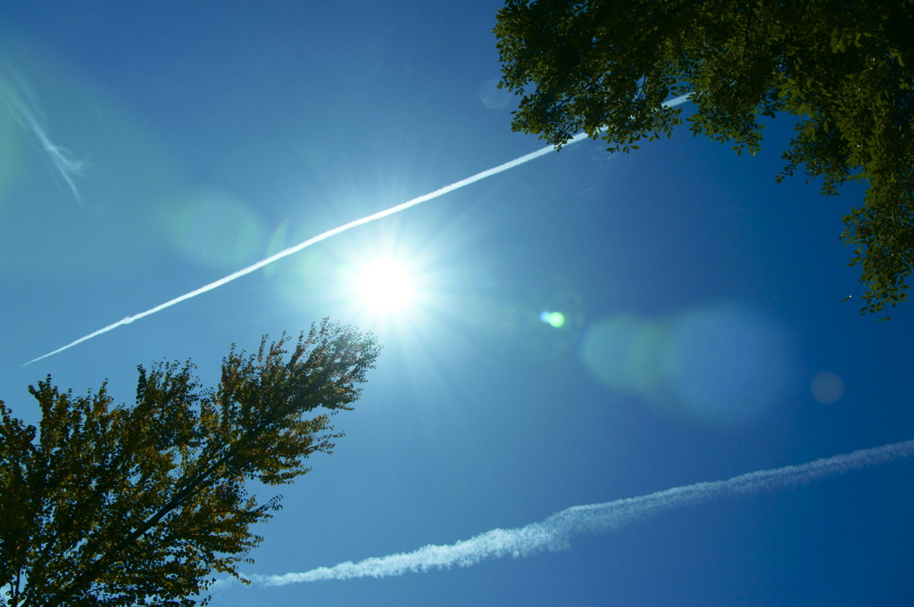 空を駆け抜ける