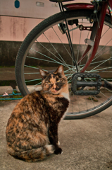 SDIM0602