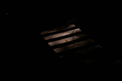 SDIM2797
