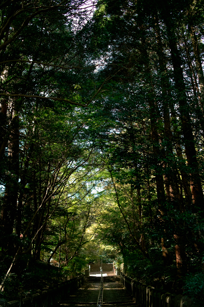 SDIM2861
