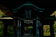 SDIM2801