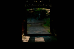 SDIM2798