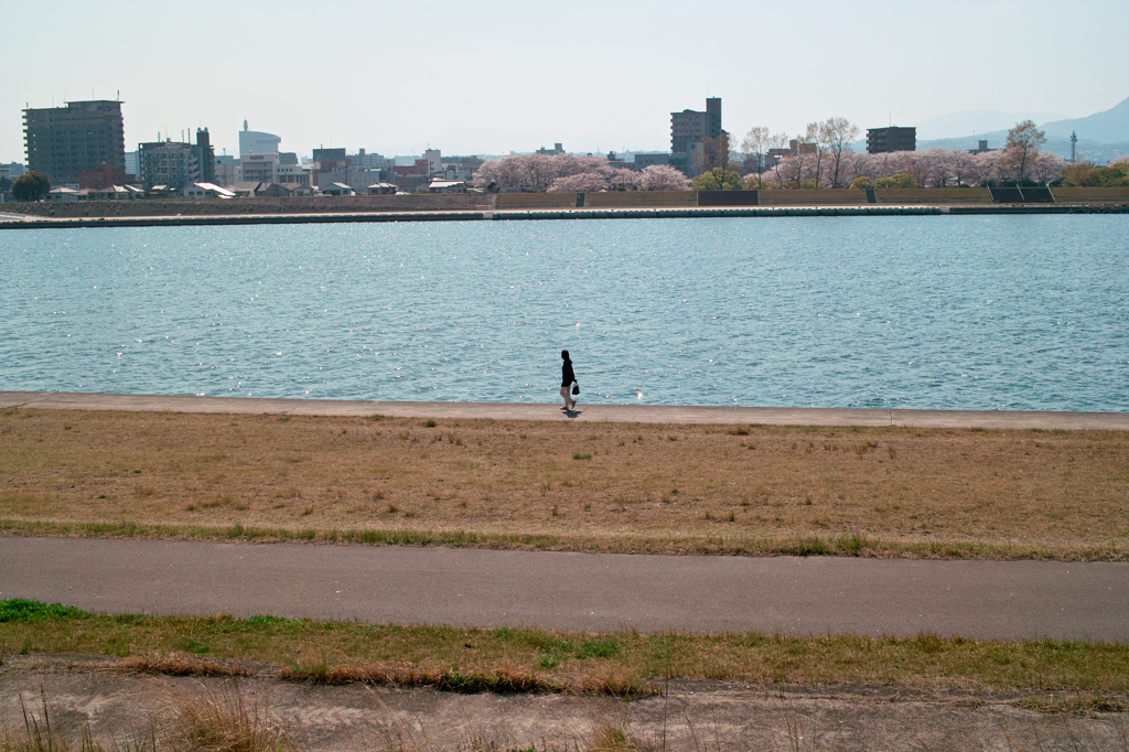 SDIM2696
