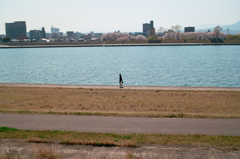 SDIM2696