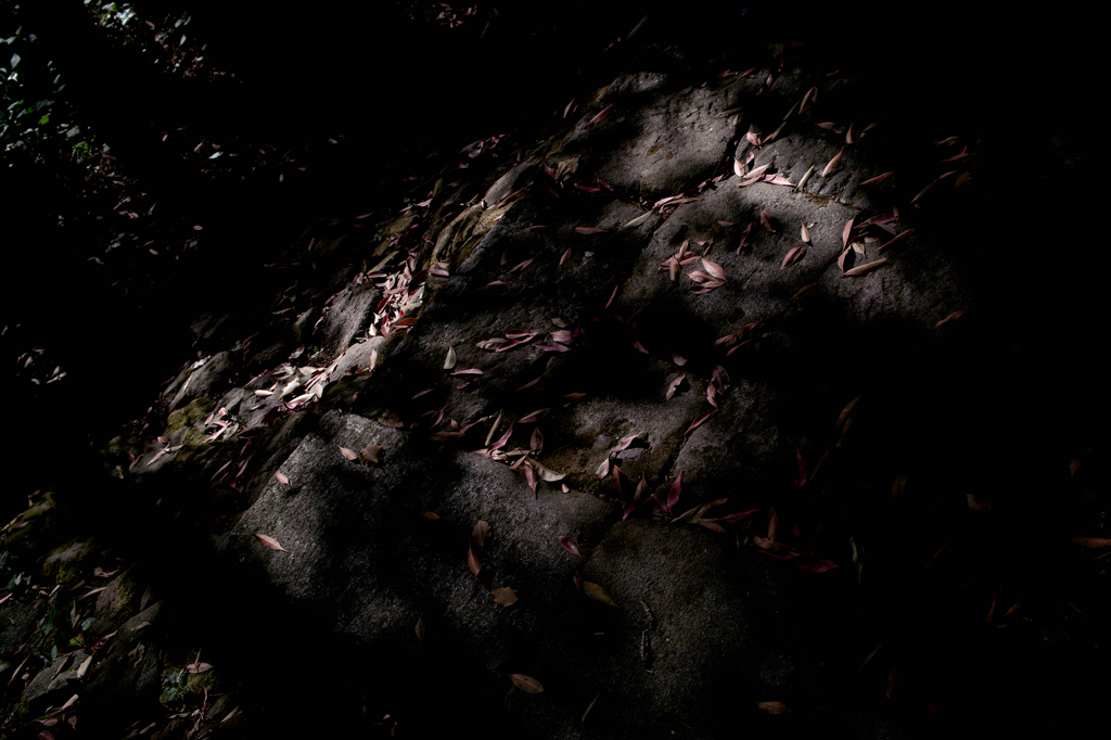 SDIM2805