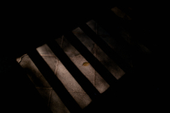 SDIM2796