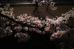 SDIM1838-a
