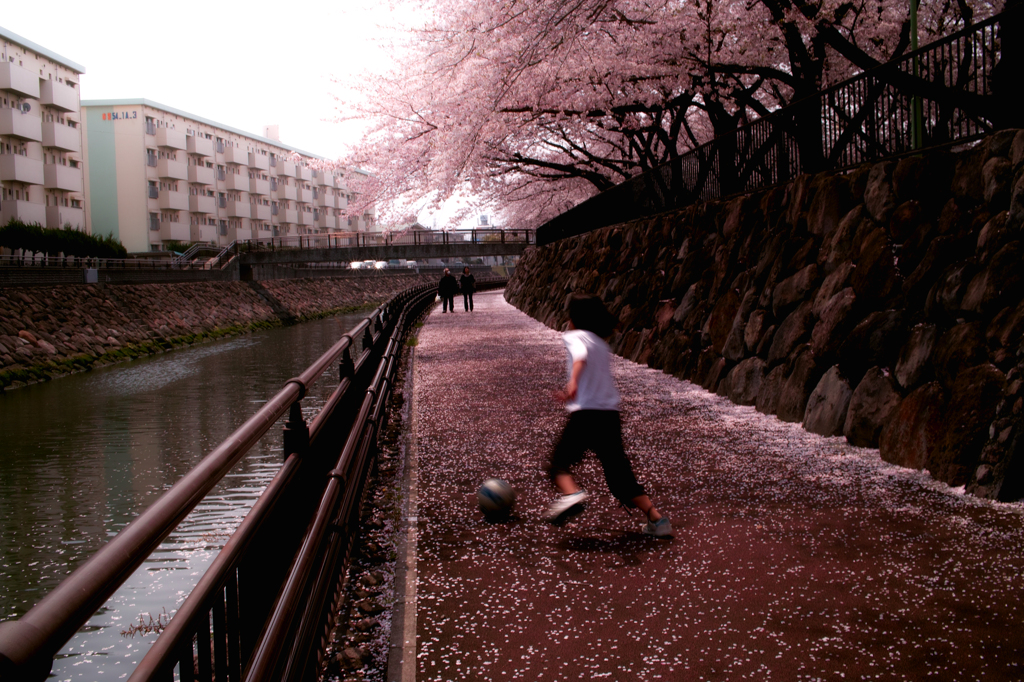 SDIM2315