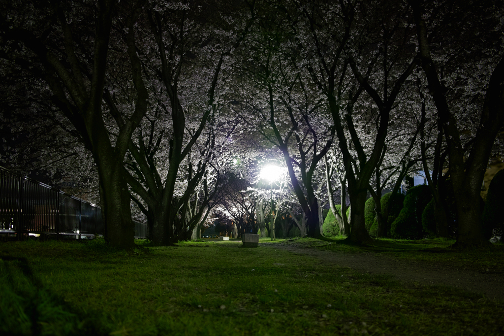 SDIM2102