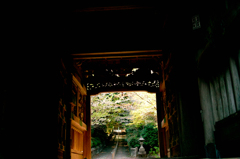 SDIM2785
