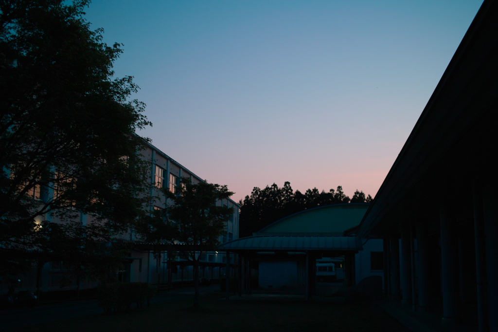 SDIM3315