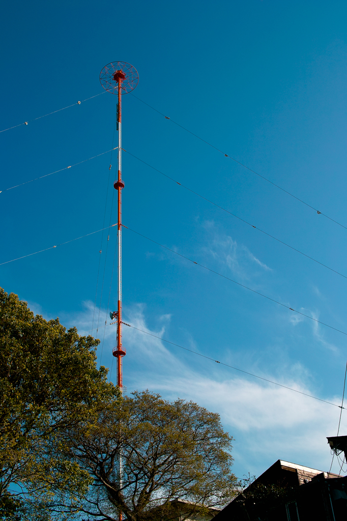 SDIM2960