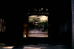 SDIM2783
