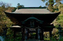 SDIM2802