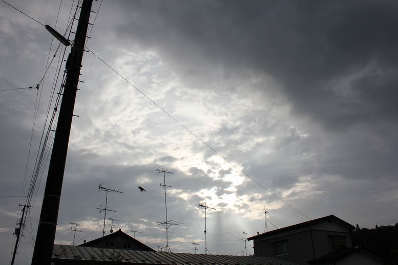 ある日の空