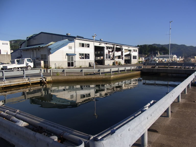 水位が上がった河口