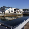 水位が上がった河口