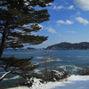 冬の三陸海岸