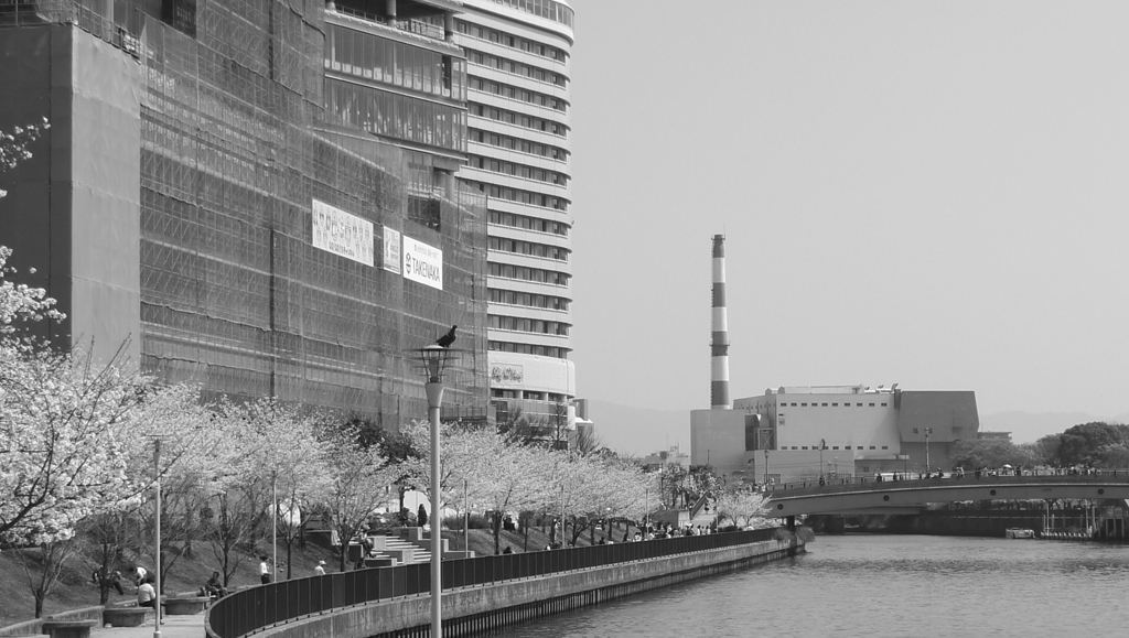 L1030977