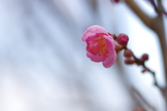 IMGP0121