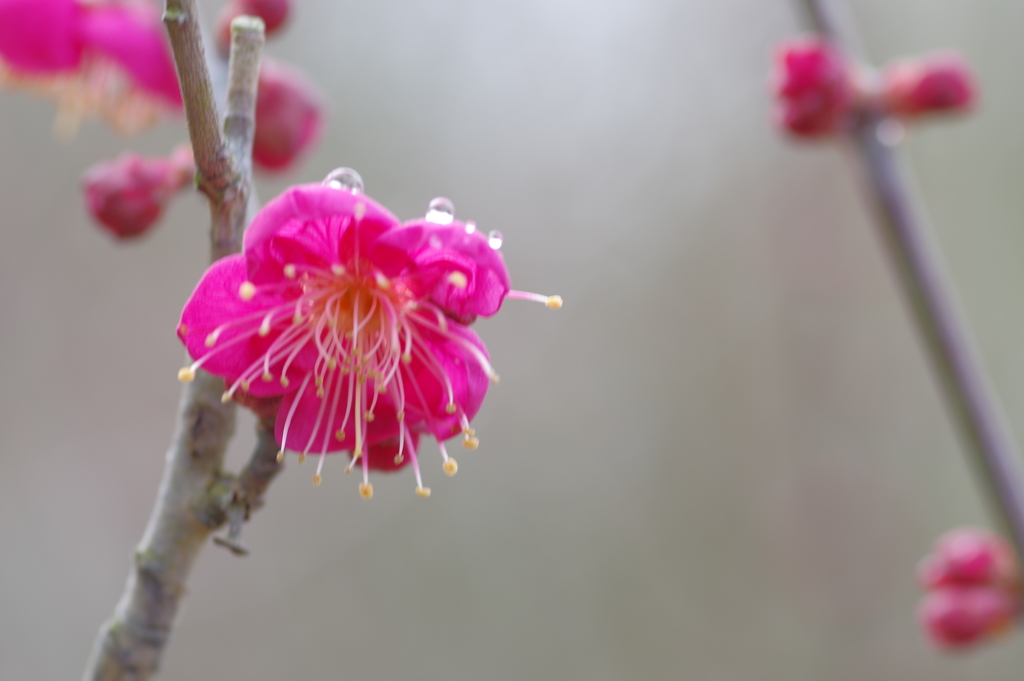 IMGP0226