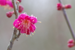 IMGP0226